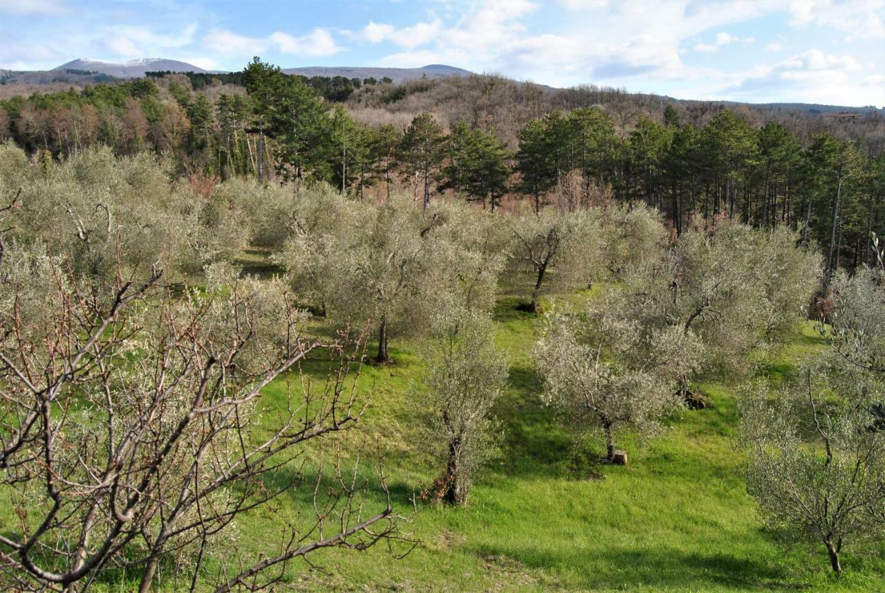Casa Fioranna Villa Seggiano Eksteriør billede
