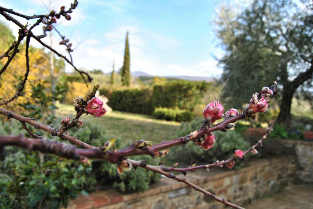 Casa Fioranna Villa Seggiano Eksteriør billede